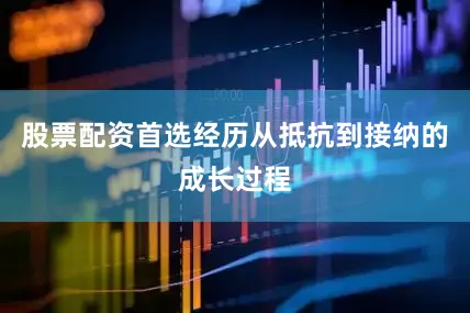 股票配资首选经历从抵抗到接纳的成长过程