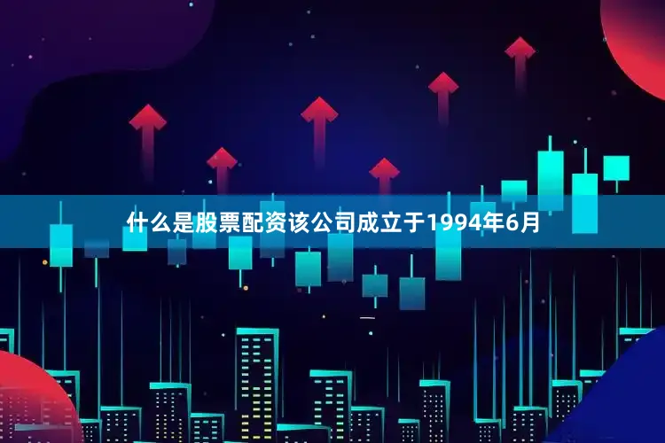 什么是股票配资该公司成立于1994年6月
